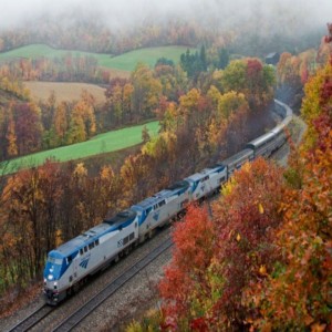 With oveFall foliage aboard Amtrakr 500 destinations we are bound to be headed where you need to go. Hop aboard and check out the best fall festivals this country has to offer!