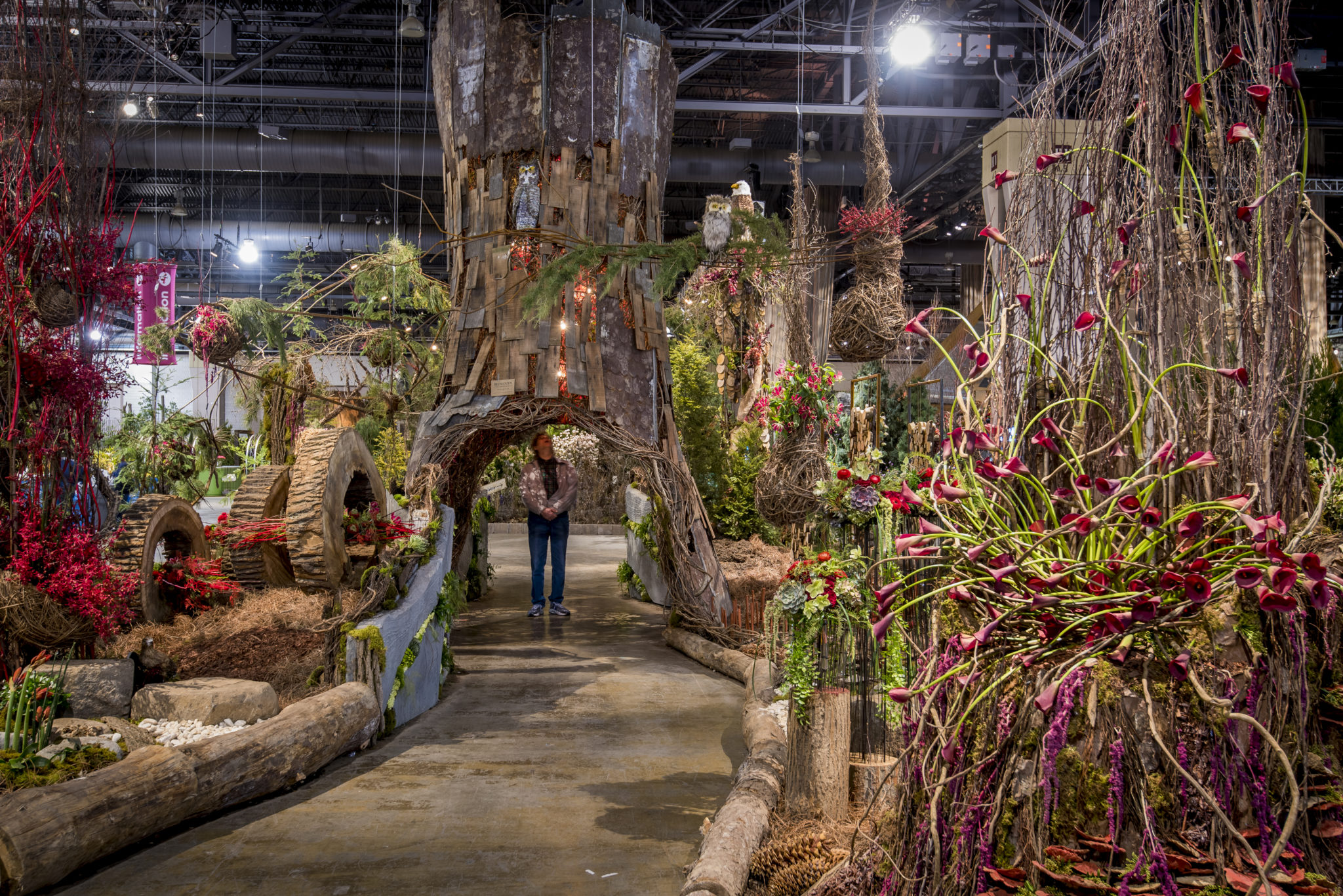 catch spring in bloom at the philadelphia flower show