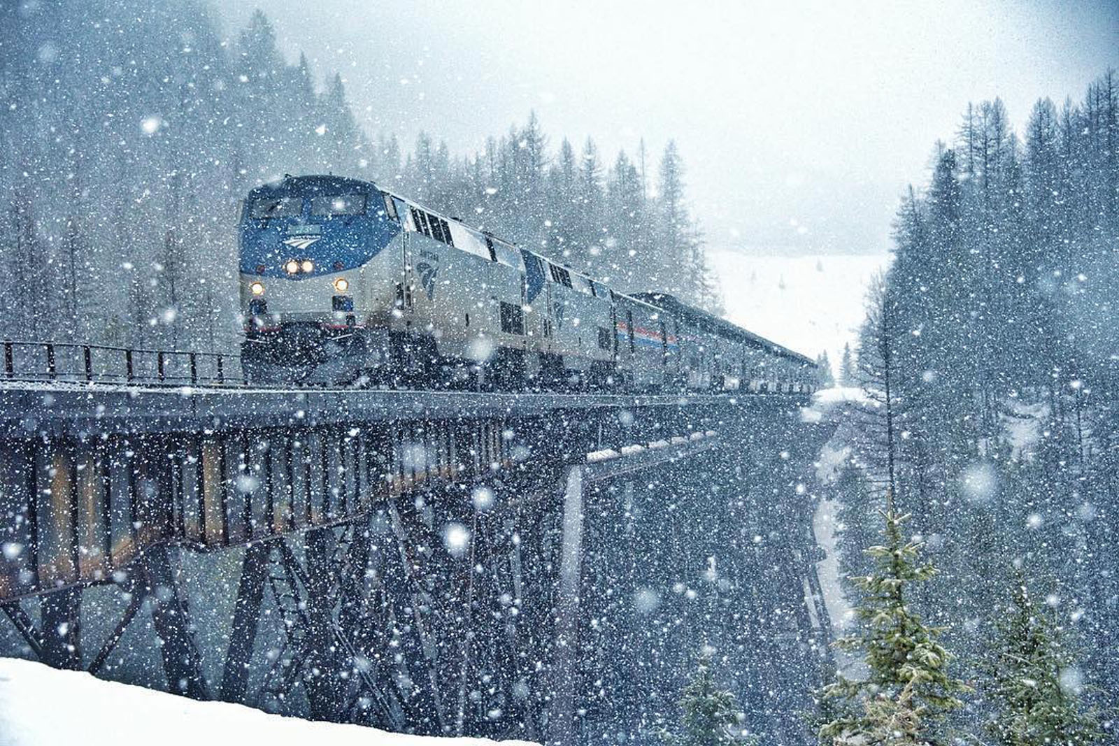 Holiday Adventures an Amtrak Train Away